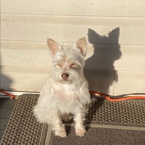 Meet your Posher, Cathy